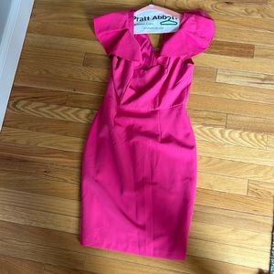 Alexia Admor Size 2 Hot Pink Dress